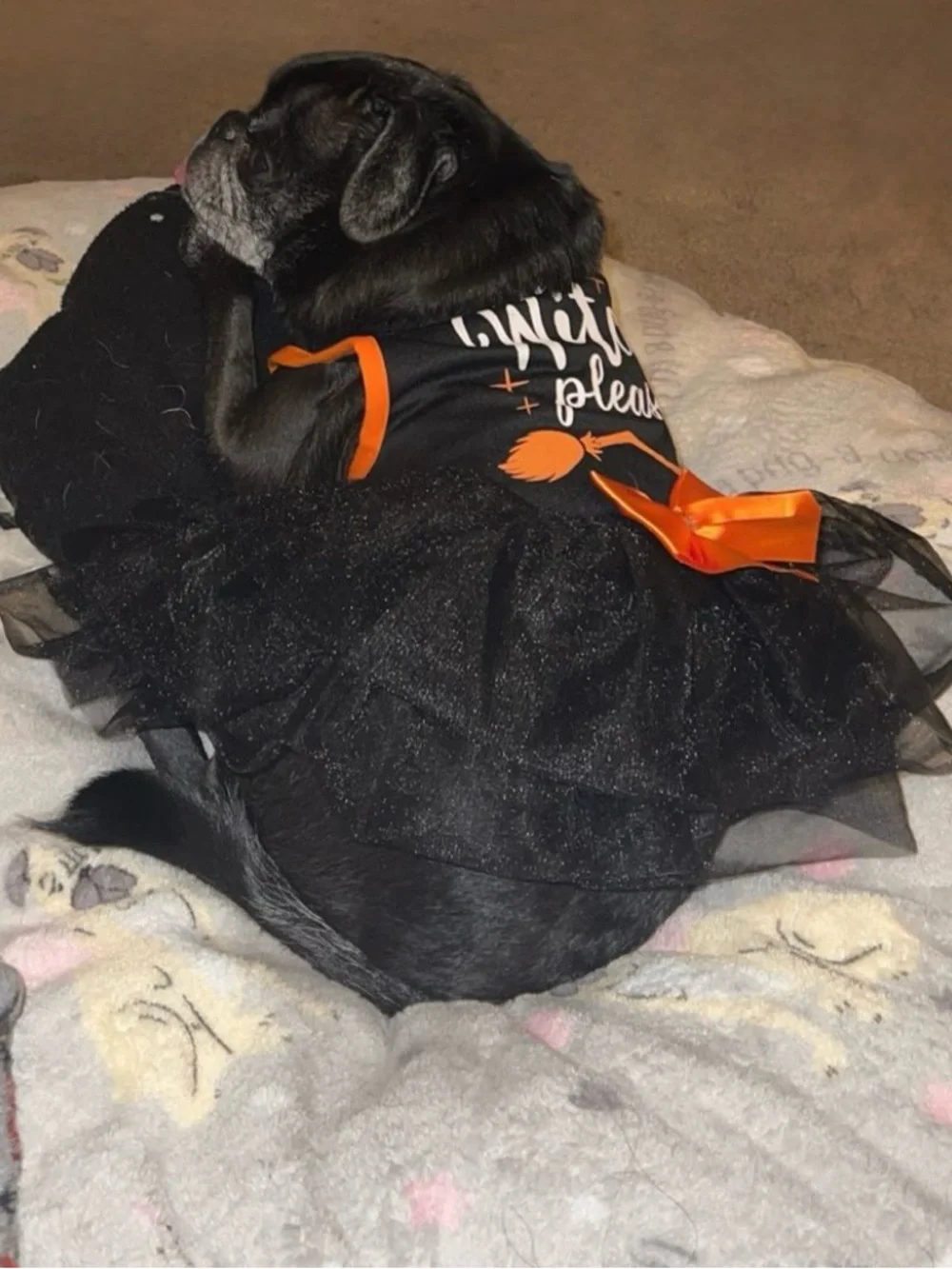 Dog dress Halloween clothes